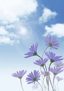 蓝色的天空紫色的小花背景