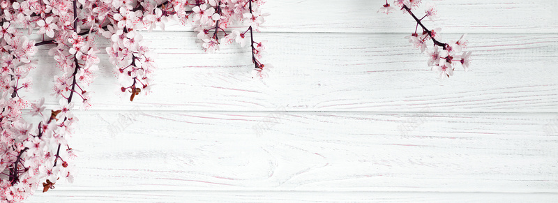 美丽的春天花朵植物jpg设计背景_88icon https://88icon.com 美丽 春天 花朵 植物 木质 摄影 海报banner 风景