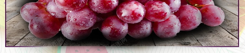 清新葡萄采摘葡萄熟了背景素材psd设计背景_88icon https://88icon.com 葡萄采摘园 葡萄采摘节 葡萄采摘 摘葡萄 葡萄 采摘葡萄 葡萄上市 葡萄园 新鲜葡萄 葡萄庄园 葡萄红酒 有机葡萄 水果 分层文件 PSD源文件 高清背景 PSD素材 背景海报 背景素材 背景模板