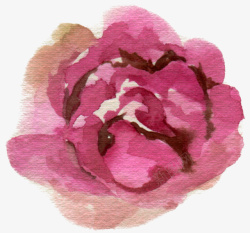 手绘水彩花环花卉3素材