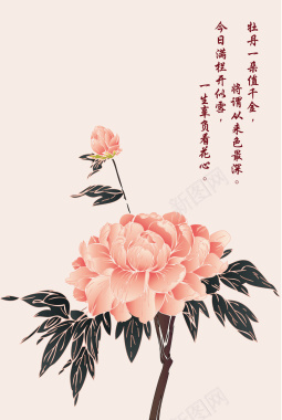 中国风粉色牡丹海报背景素材背景