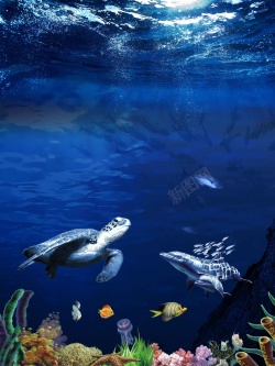 海族馆海底世界海族馆旅游宣传大气海报背景模板高清图片