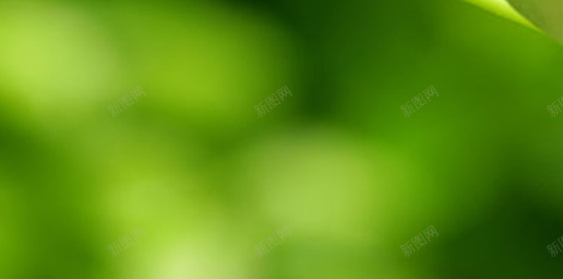 绿色养眼高清手机H5背景jpg设计背景_88icon https://88icon.com 绿色 植物 摄影 简约 风景 H5 h5