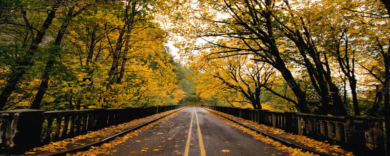 道路风景背景图jpg设计背景_88icon https://88icon.com 道路 秋意 风景 文艺 海报banner 摄影