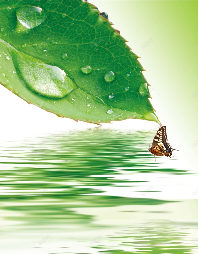 春天促销海报背景psd设计背景_88icon https://88icon.com 初春焕彩 春 春天促销海报 春天促销海报图片下载 春天图片 春天展架 春天海报 春天背景 春季 绿 绿色背景