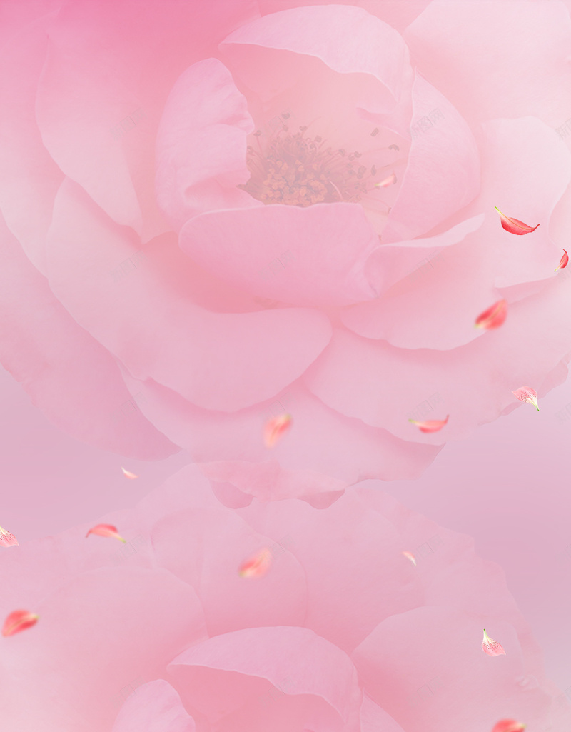 粉色浪漫花朵H5背景psd设计背景_88icon https://88icon.com H5背景 情人节 母情节 浪漫背景 浪漫花朵 粉色背景 背景素材 花卉 花朵 花瓣