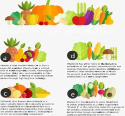 蔬菜水果步骤图素材