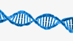 DNA螺旋3素材