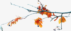 枯黄的叶子秋季枯黄的树枝高清图片