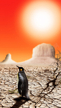干旱大地上的企鹅H5背景背景