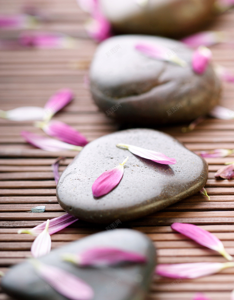 唯美鹅卵石花瓣背景jpg设计背景_88icon https://88icon.com 鹅卵石 典雅 唯美 摄影 花瓣 风景
