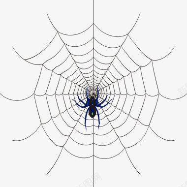 手绘黑色线条蜘蛛网装饰图案图标图标