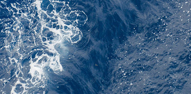 蓝色大海海豚手机端H5背景jpg设计背景_88icon https://88icon.com H5背景 大海 大海背景 手机端 水浪 波浪 海豚 背景 蓝色 蓝色大海 蓝色背景 鱼 鲸鱼