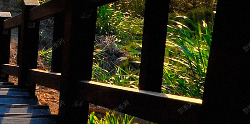 栈道H5背景jpg设计背景_88icon https://88icon.com H5 H5背景 h5 云海 大气 天空 山峰 栈道 阳光