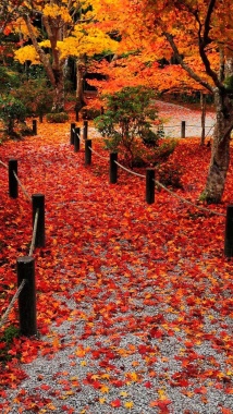 秋天乡间红色落叶H5背景背景