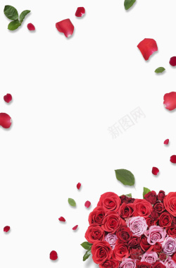 清新简约玫瑰情人节平面广告背景