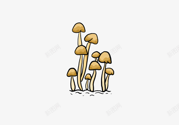 插画手绘金针菇png免抠素材_88icon https://88icon.com 插画 手绘 金针菇 食品