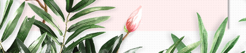 文艺木棉花新品上市海报背景模板psd设计背景_88icon https://88icon.com 文艺 新品上市 新品促销 木棉花 木棉花树 海报背景 清新 简约 装饰花卉