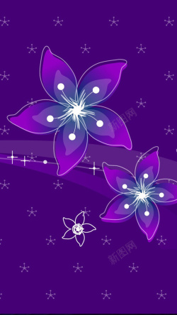 晶莹质感紫色花渐变晶莹背景图高清图片