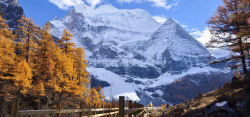 山峰开心秋冬树林天空山峰海报banner高清图片