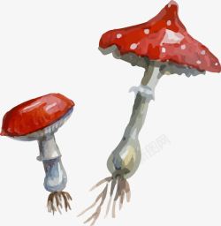 手绘水彩蘑菇素材