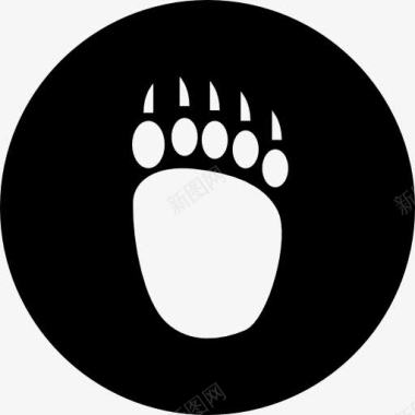 牛动物BearPawprint图标图标