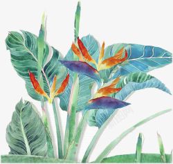 蓝色创意植物手绘电商装饰素材