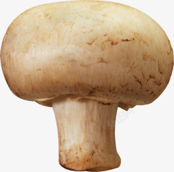 新鲜打头蘑菇素材