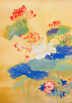 红莲花夏日荷花海报设计高清图片