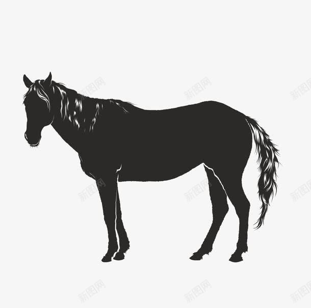 马匹单色图案png免抠素材_88icon https://88icon.com horse 剪影 骏马 黑色