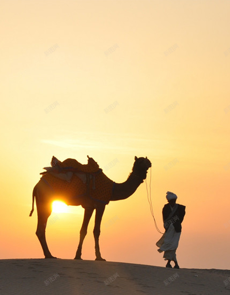 阳光下的沙漠H5背景jpg设计背景_88icon https://88icon.com 人物 开心 梦幻 沙漠 浪漫 金色 阳光 骆驼