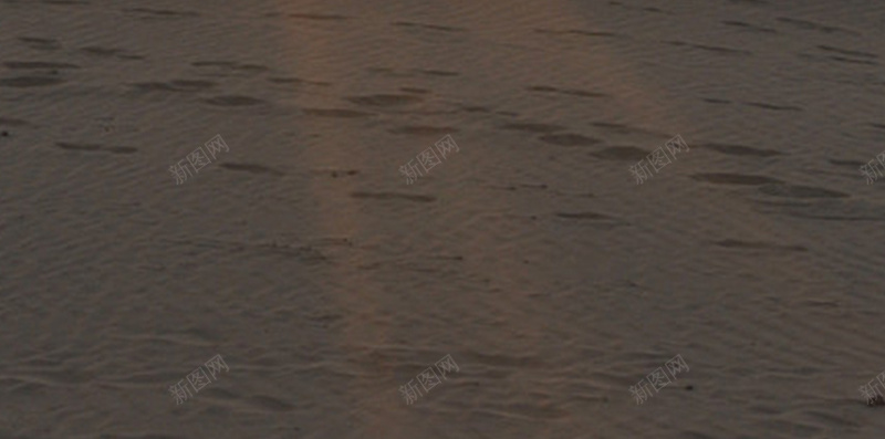 阳光下的沙漠H5背景jpg设计背景_88icon https://88icon.com 人物 开心 梦幻 沙漠 浪漫 金色 阳光 骆驼