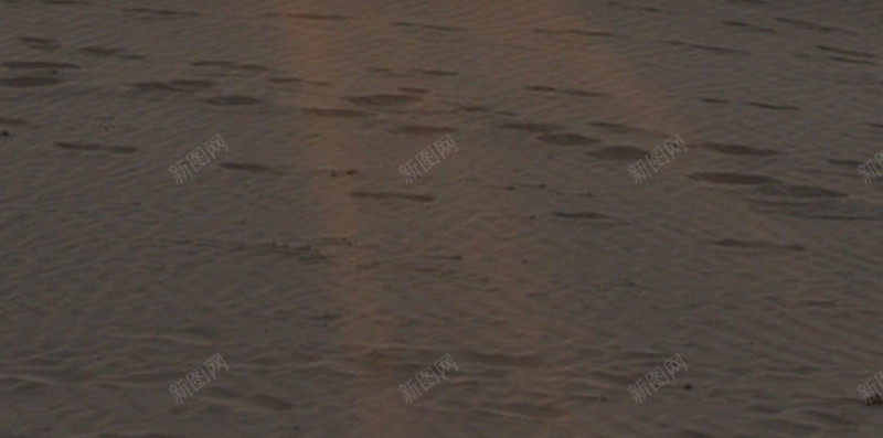 阳光下的沙漠H5背景jpg设计背景_88icon https://88icon.com 人物 开心 梦幻 沙漠 浪漫 金色 阳光 骆驼