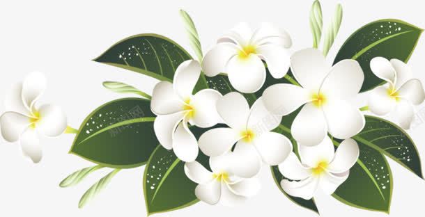 花朵绿叶手绘白色png免抠素材_88icon https://88icon.com 白色 绿叶 花朵