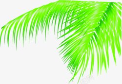 创意合成手绘绿色的棕榈树叶素材
