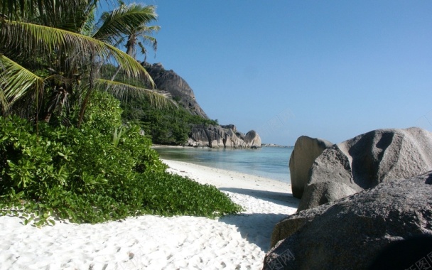 海边石头绿色植被背景