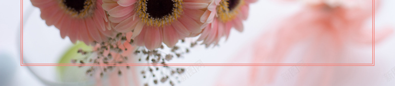 优惠买单海报背景psd设计背景_88icon https://88icon.com 优惠买单 优惠券 会员日 天猫 手机支付 最高立减 淘宝 电商促销 购物 领券