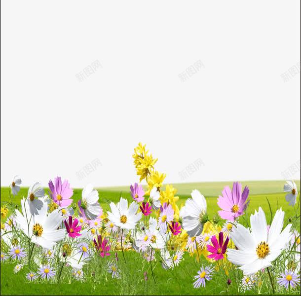 展板底纹png免抠素材_88icon https://88icon.com 制度背景 学校展板 学校板报 展板模板 展板装饰 底纹背景 底纹边框 春天 草地