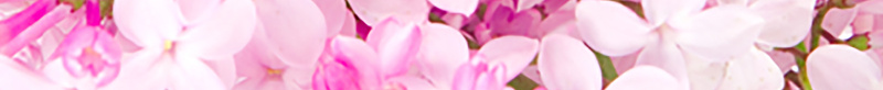 唯美婚庆海报背景psd设计背景_88icon https://88icon.com PSD 唯美 婚庆 展板 幸福 梦幻 浪漫 海报 温暖 粉色 背景