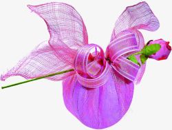紫色浪漫礼物玫瑰花素材