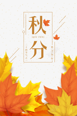 秋天秋分枯叶落叶二十四节气海报