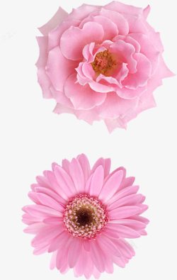 粉色梦幻花朵海报装饰素材