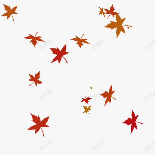 枫叶漂浮枫叶秋天背景png免抠素材_88icon https://88icon.com 枫叶 漂浮枫叶 秋天 背景