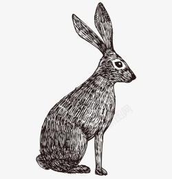 黑白可爱兔子手绘素描矢量图素材