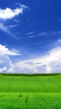 天空下的草原H5背景背景
