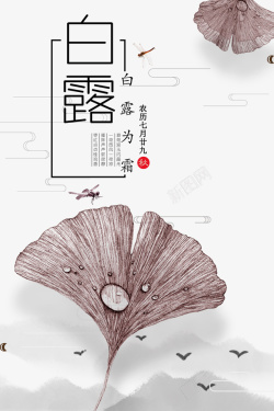 白露秋季叶子蜻蜓露珠素材