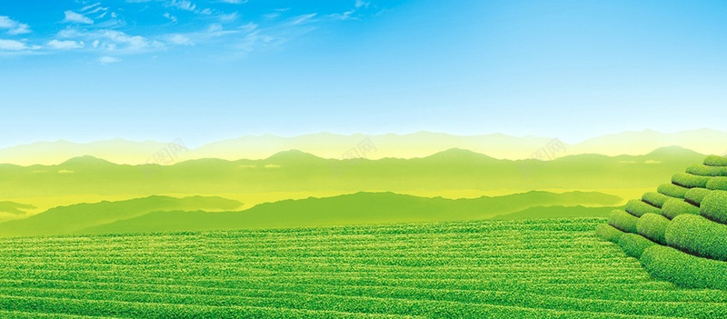 茶园背景jpg设计背景_88icon https://88icon.com 绿色 茶园 春意 海报banner 摄影 风景