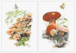 卡通手绘蘑菇片素材