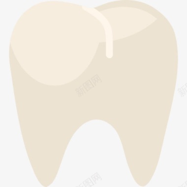 牙齿模特前磨牙图标图标