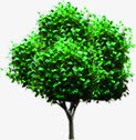 绿色植物宣传海报png免抠素材_88icon https://88icon.com 宣传 海报 绿色植物